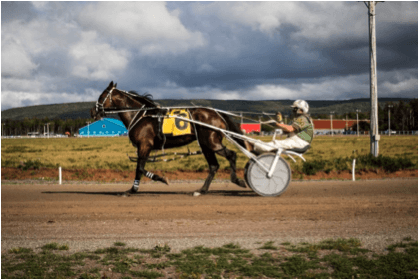 Harness Racing @ Inverness Raceway