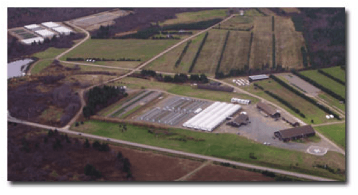 Strathlorne Forest Nursery